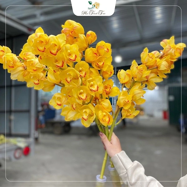 337673689_1389734181845659_1346974494405969025_n