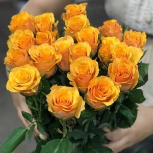 Hồng Cam Cát Vàng Côn Minh