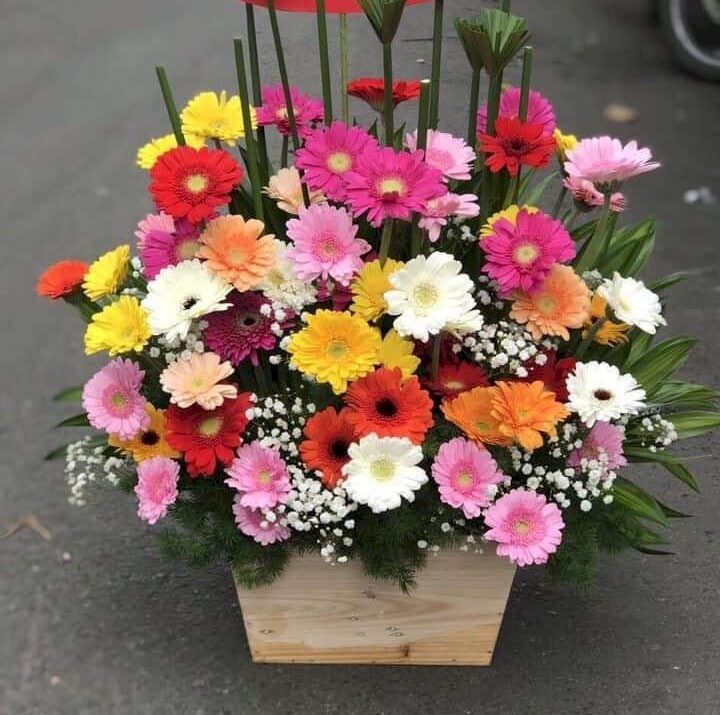 Hộp Hoa Hạnh Phúc Ngọt Ngào Hộp Hoa Hạnh Phúc Ngọt Ngào