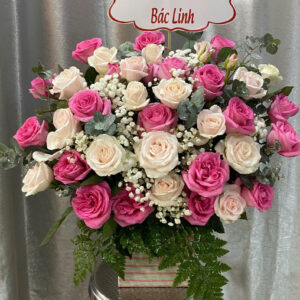 Hộp Hoa Thương Nhớ Dịu Dàng